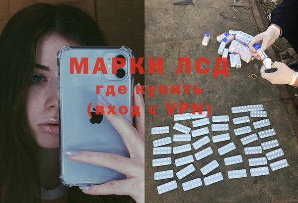 твердый Инта