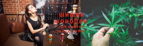 твердый Иннополис