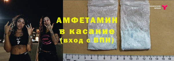 сатива Каменка