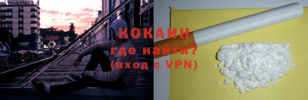 твердый Иннополис