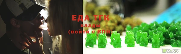 твердый Инта