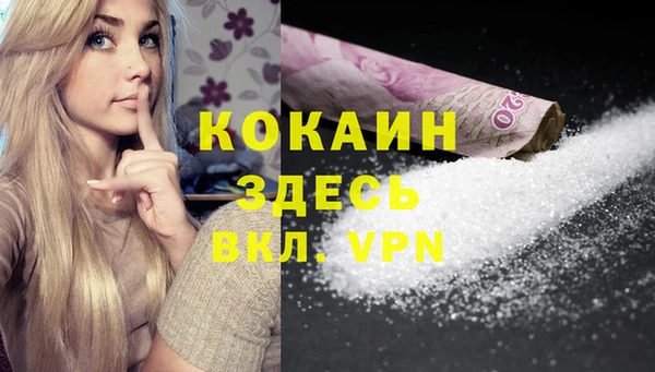 твердый Инта