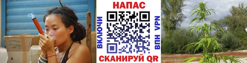 Шишки марихуана марихуана  Камызяк 